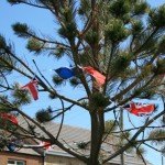Betty's-Tree