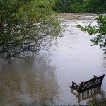 River-Coquet-at-Warkworth