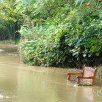 flooded-path-Warkworth