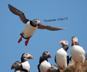 puffin-thank-you-txt
