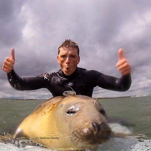 You can see Matty’s surfing seal video on his YouTube channel:  https://www.youtube.com/watch?v=2dHeM6gGv8k&feature=youtu.be