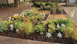 flowerbed-w