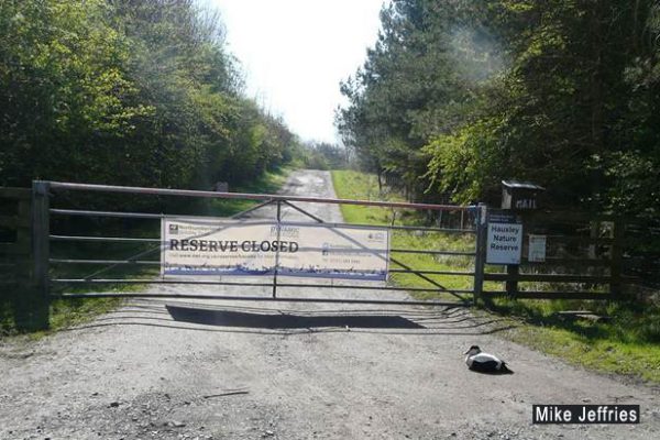 Hauxley Nature Reserve closes for a year