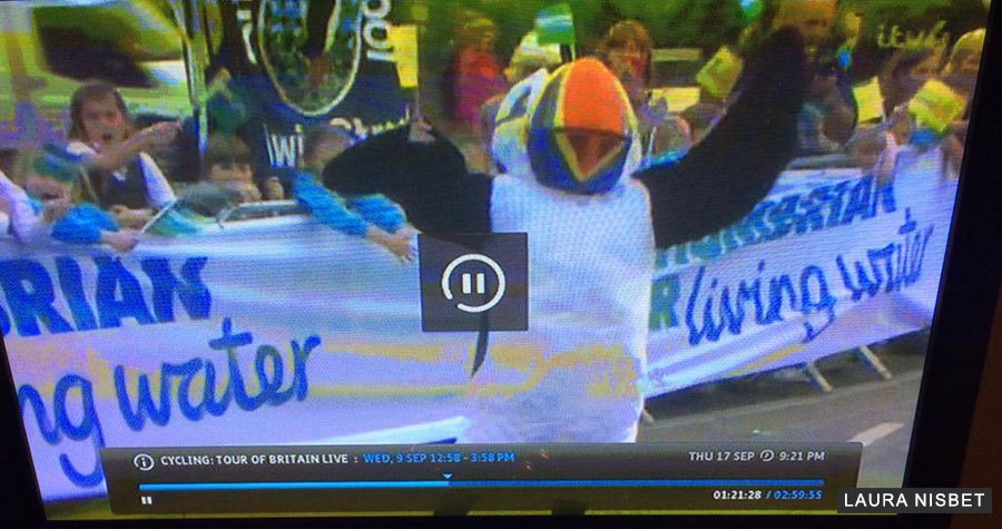 puffin-on-tv