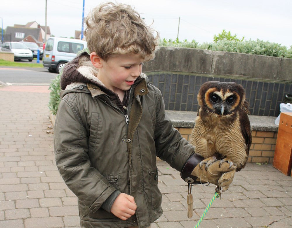 boy-with-owl-BR