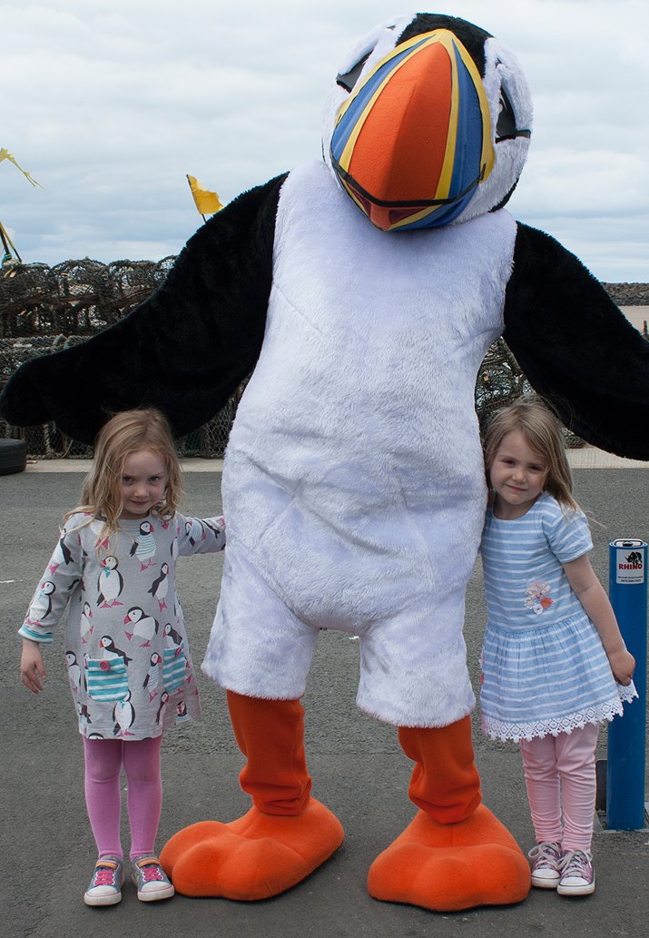 Little-girl-in-puffin-dress-AW