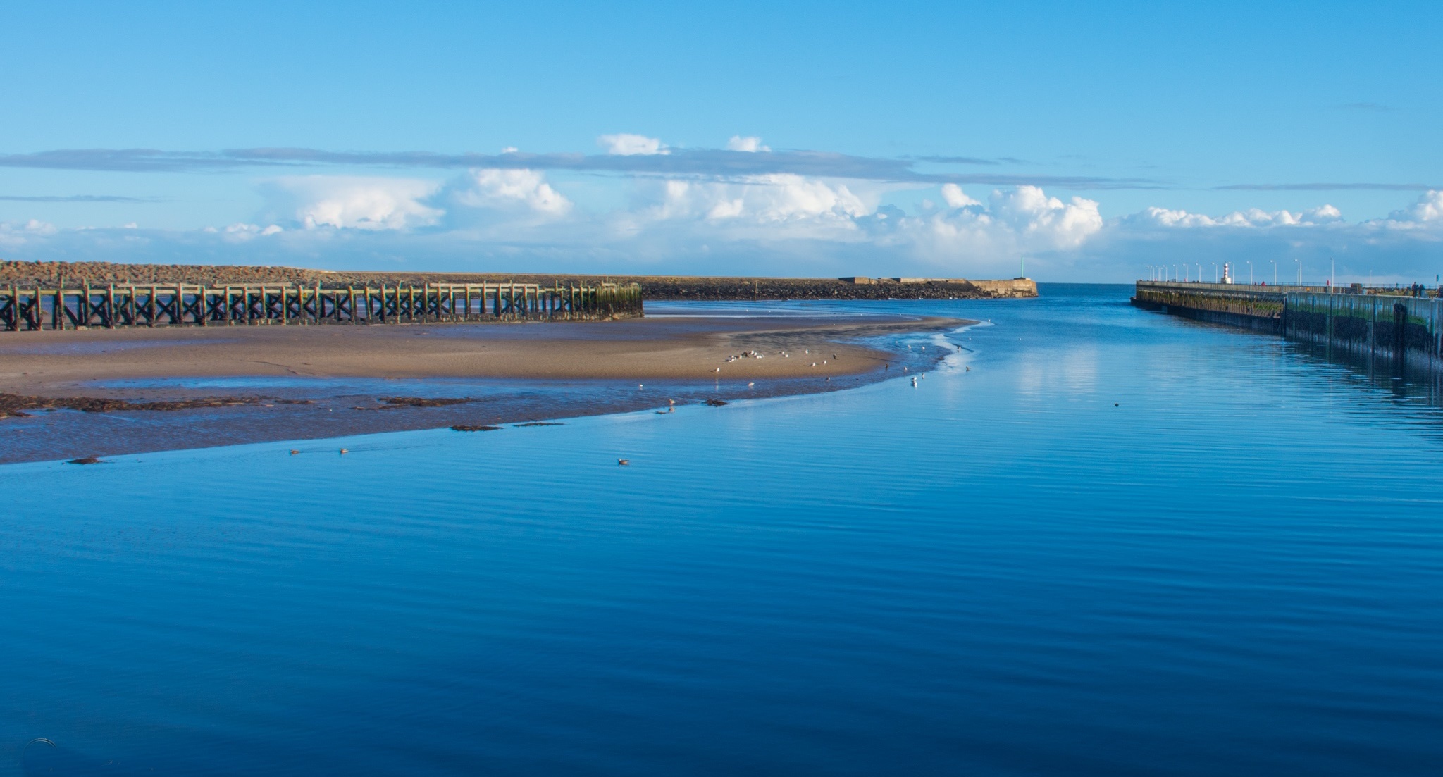 Everybody's turning to Amble The Ambler