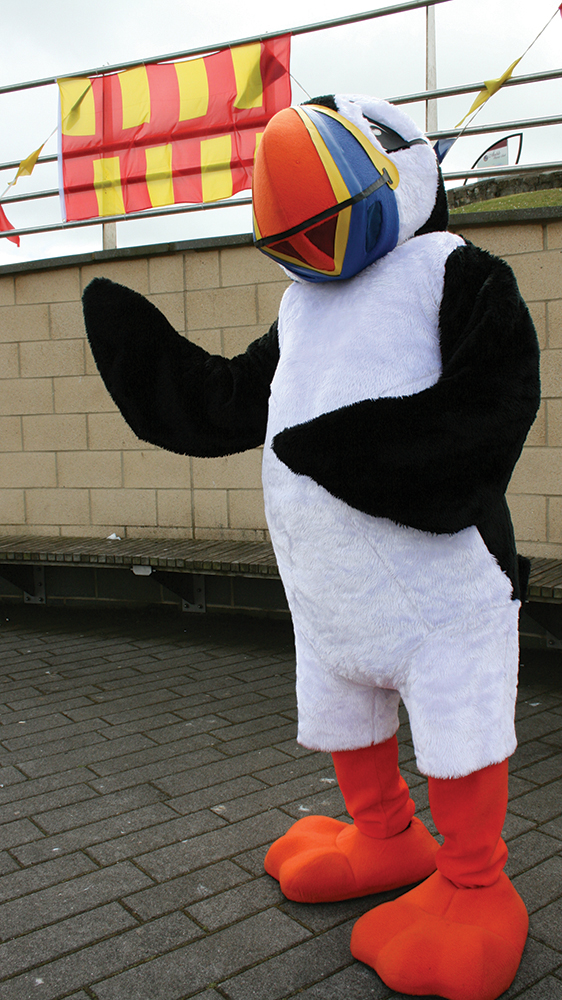 Northumberland Day puffin