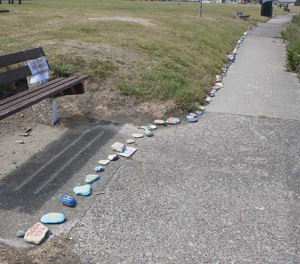 a trail of painted stones along the edge of a footpath