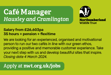 NWT cafe manager