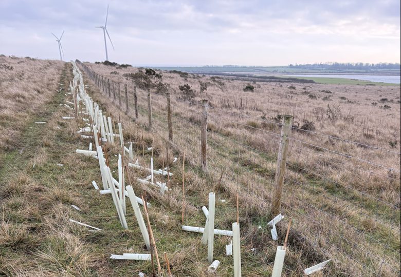 Vandalism at nature reserve