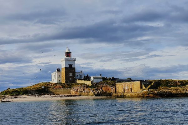 Changes at Coquet Island