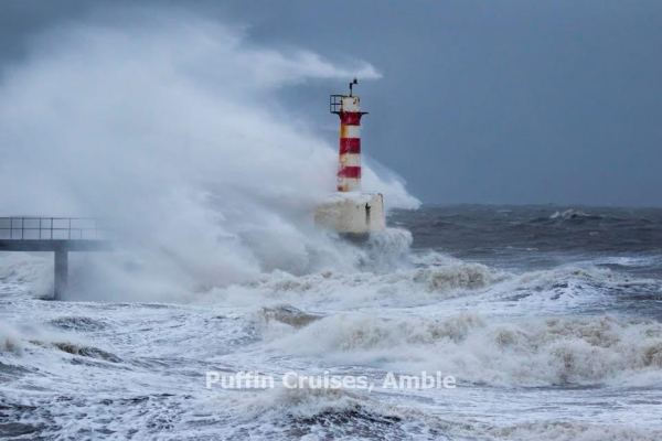 Not just any port in a storm