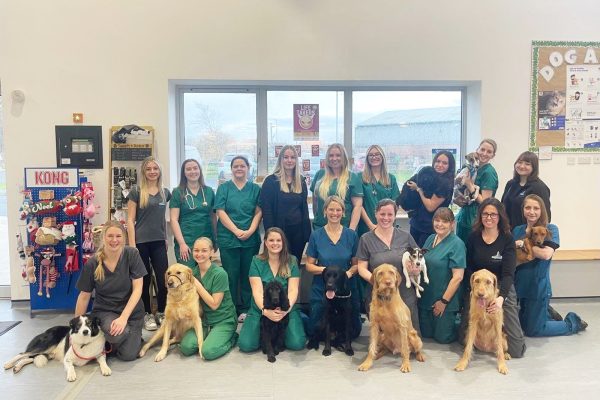 Coquet Vets award nomination