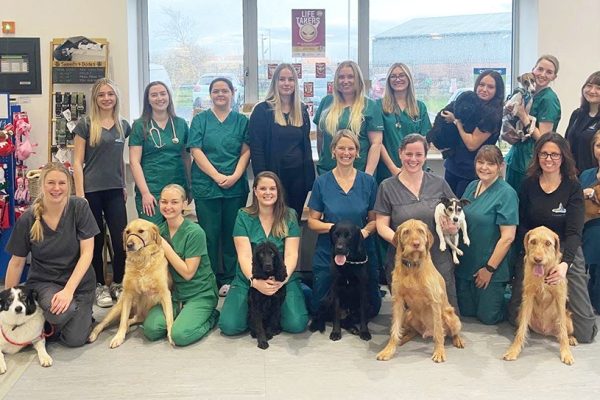 Coquet Vets wins Practice of the Year award