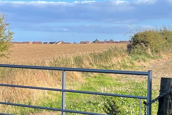 Plans proposed for three hundred more houses