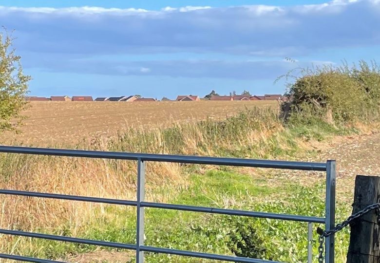 Plans proposed for 300 more houses